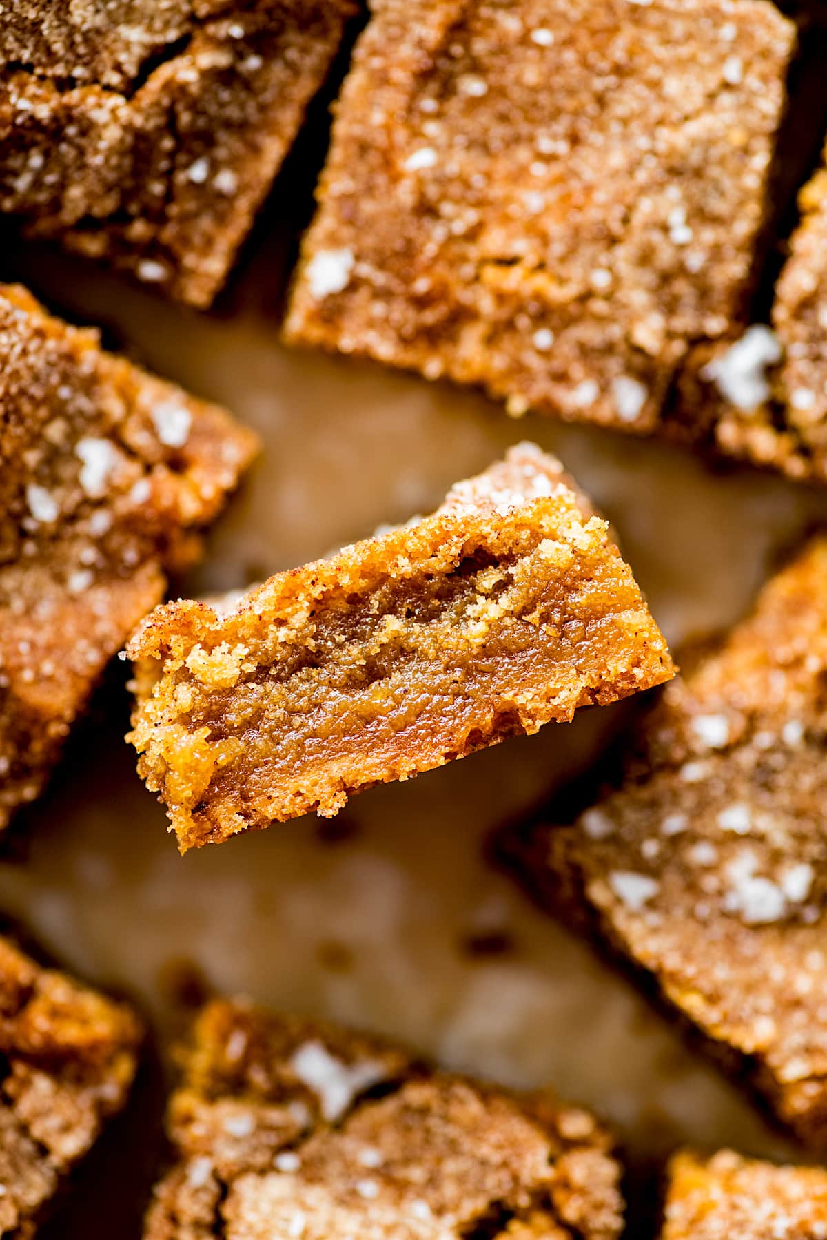 close up of brown butter salted caramel snickerdoodle blondie. 